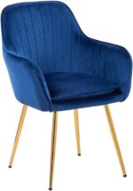 51i8lcjlrol. Ac Sy879 .jpg