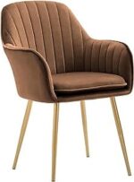 61amsedt0l. Ac Sy300 Sx300 .jpg