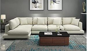 71p9raozzyl. Ac Sx679 .jpg