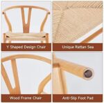 51nen8cssjl. Ac Sx569