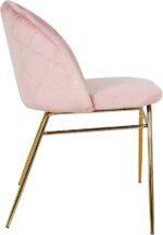 61ycn7qohzl. Ac Sx569