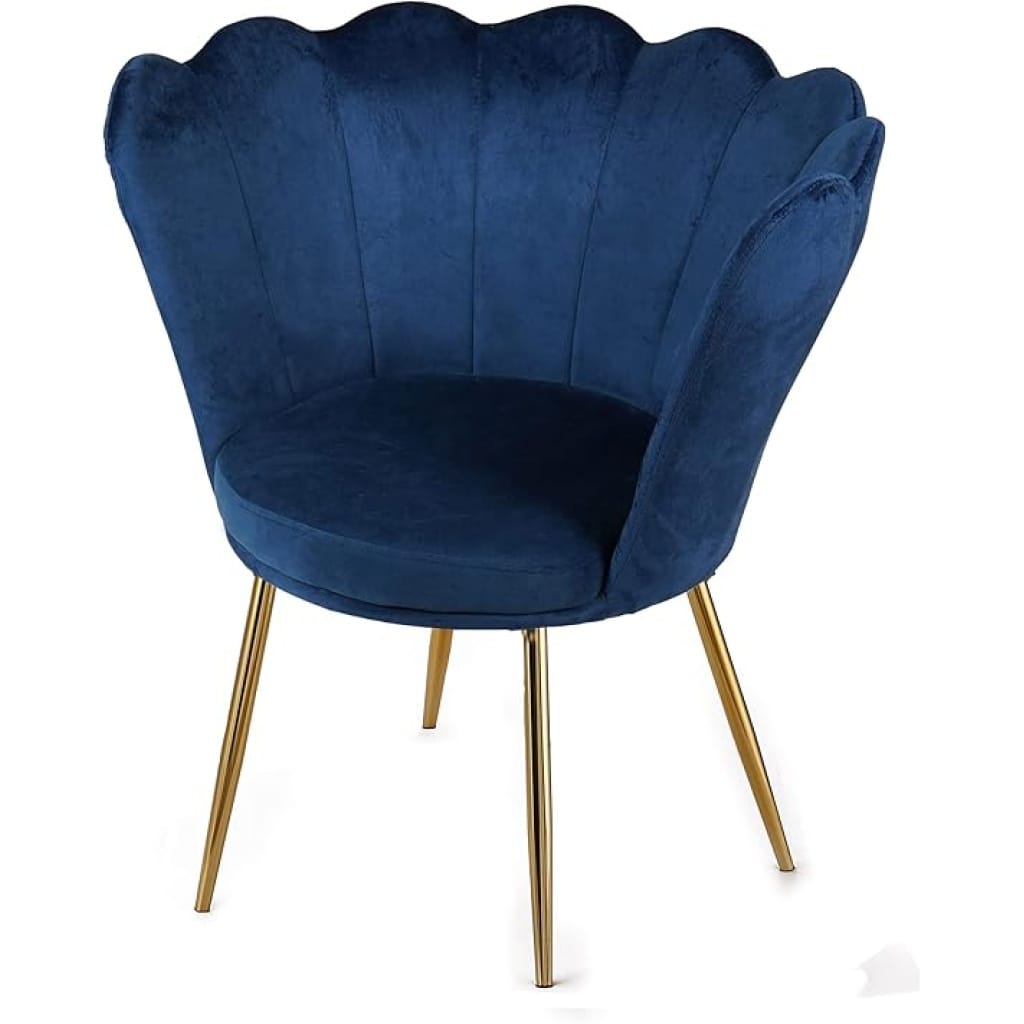 61xnoqqkxil. Ac Sx569