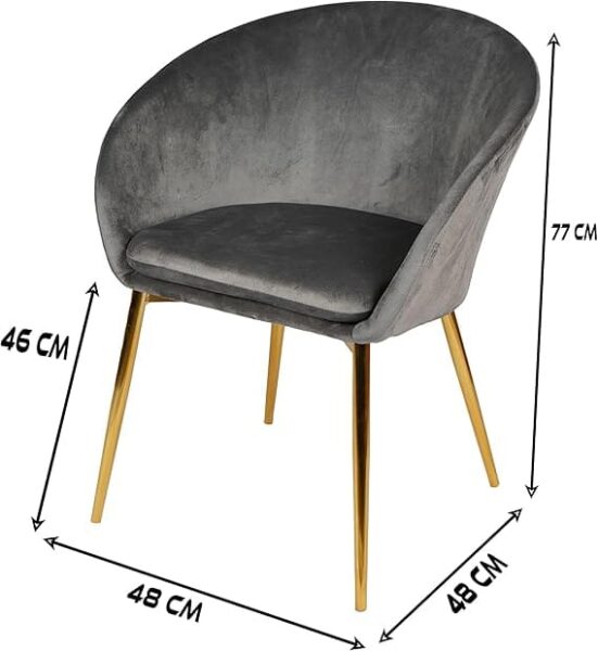 E1 Copy